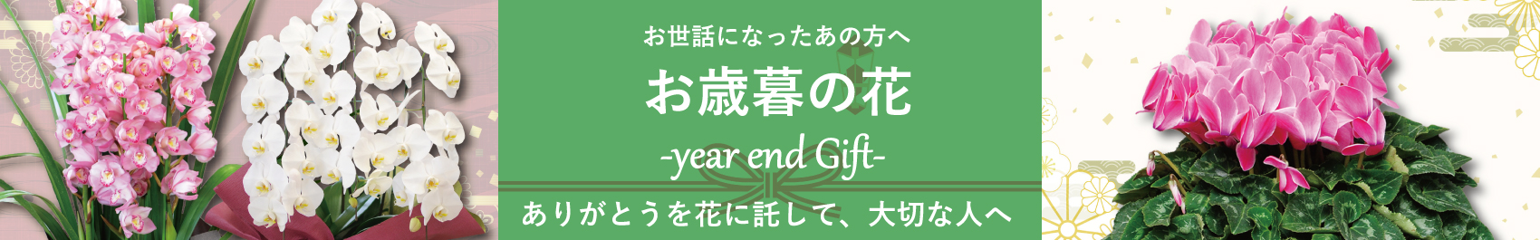 お歳暮に贈る花