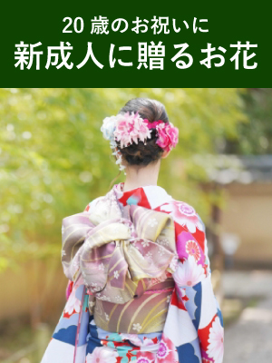 成人祝に贈る花