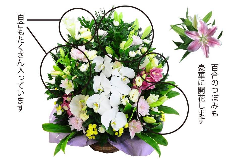 お供え用 百合と蘭のお供えアレンジメント お供えの花・お悔やみの花