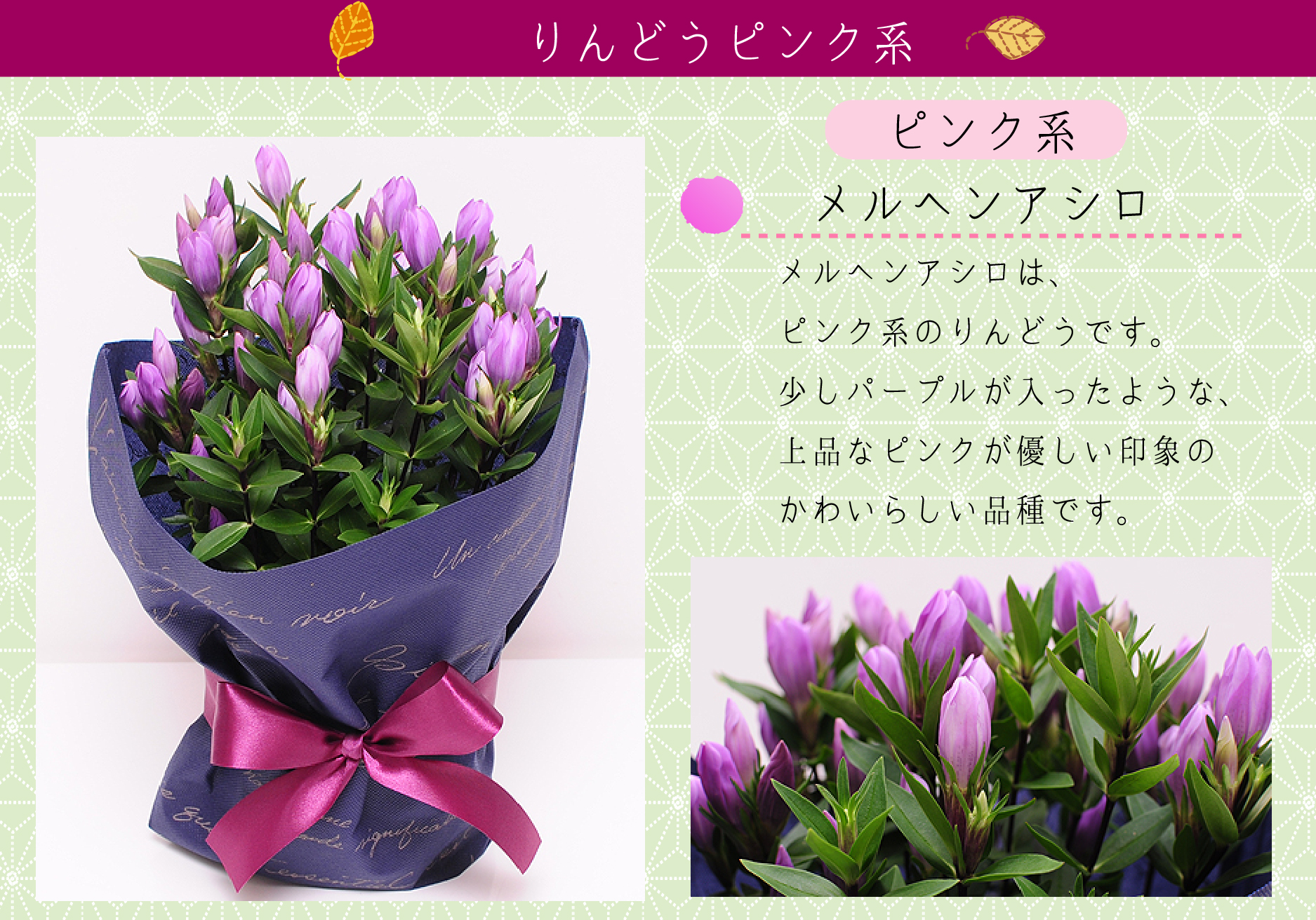 リンドウの鉢植え 4号鉢 敬老の日に贈る花 | エーデルワイス【花の贈り物】 フラワーギフト通販 花宅配 水戸市